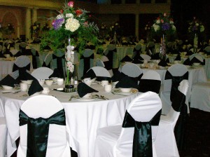 24in Cylinder Vases Set up