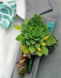 All Succulent Boutonniere