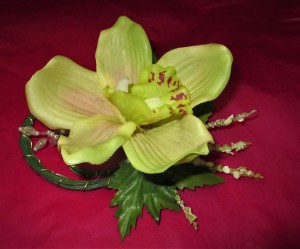 Cymbidium Orchid