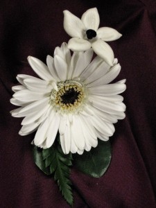 Gerber & Stephanotis