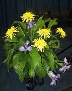 Large Plant with Flowers