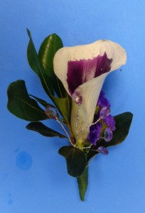 Picasso Calla Lily