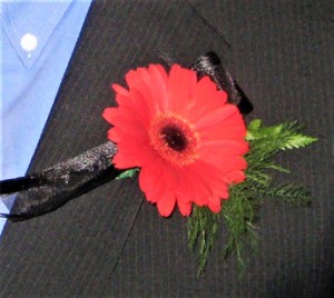 Red Gerber Daisy with Ribbon