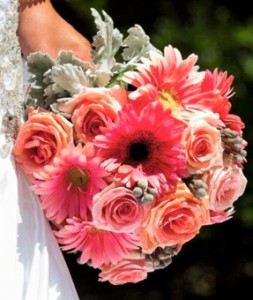 Rose, Gerber Daisy & Silver Brunia