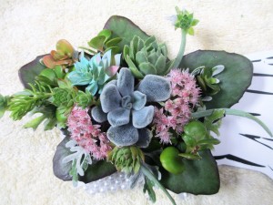 Unique Succulent Wrist Corsage