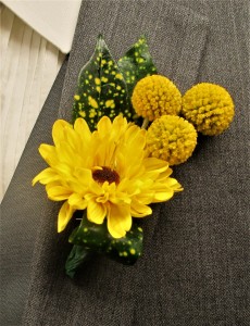 Viking Mums & Caspidia Balls