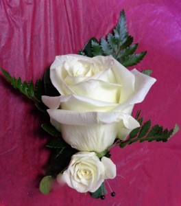 White Roses